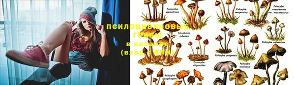 соль курить ск Медвежьегорск